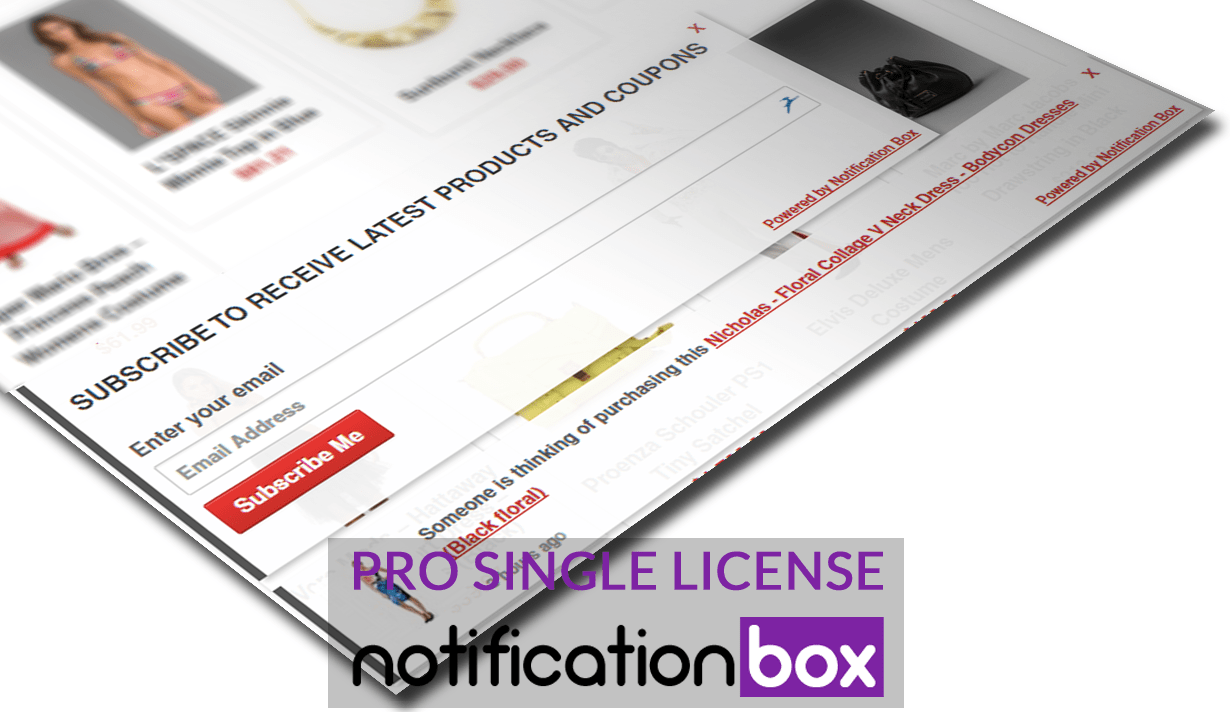 Notification-Box-WooCommerce-Example-2-pro-single-license