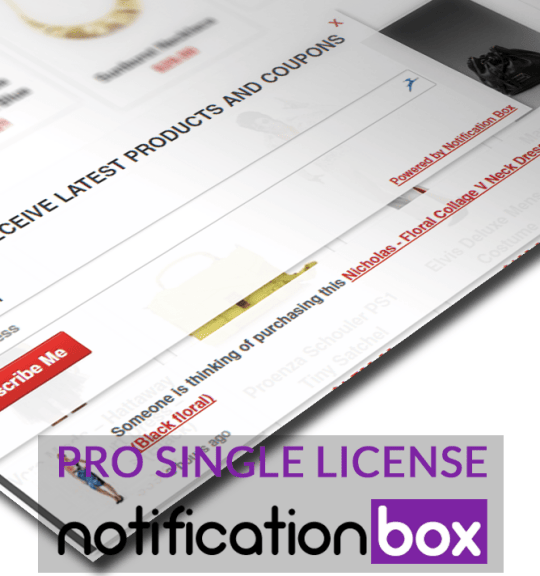 Notification-Box-WooCommerce-Example-2-pro-single-license