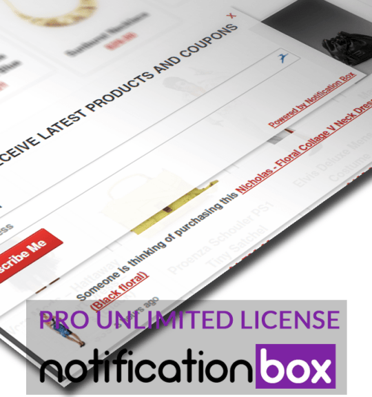 Notification-Box-WooCommerce-Example-2-pro-unlimited-license
