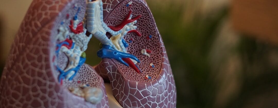 Photo Digital Medical Board