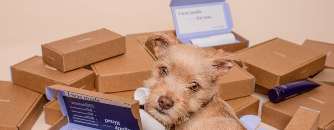 Photo Notification box