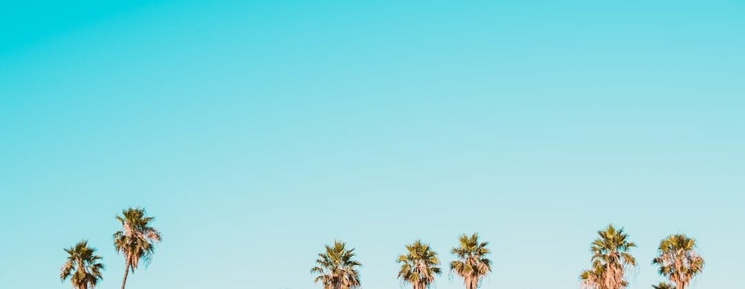 Photo australian spelling test