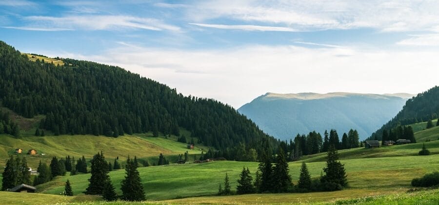 Photo Notification Box